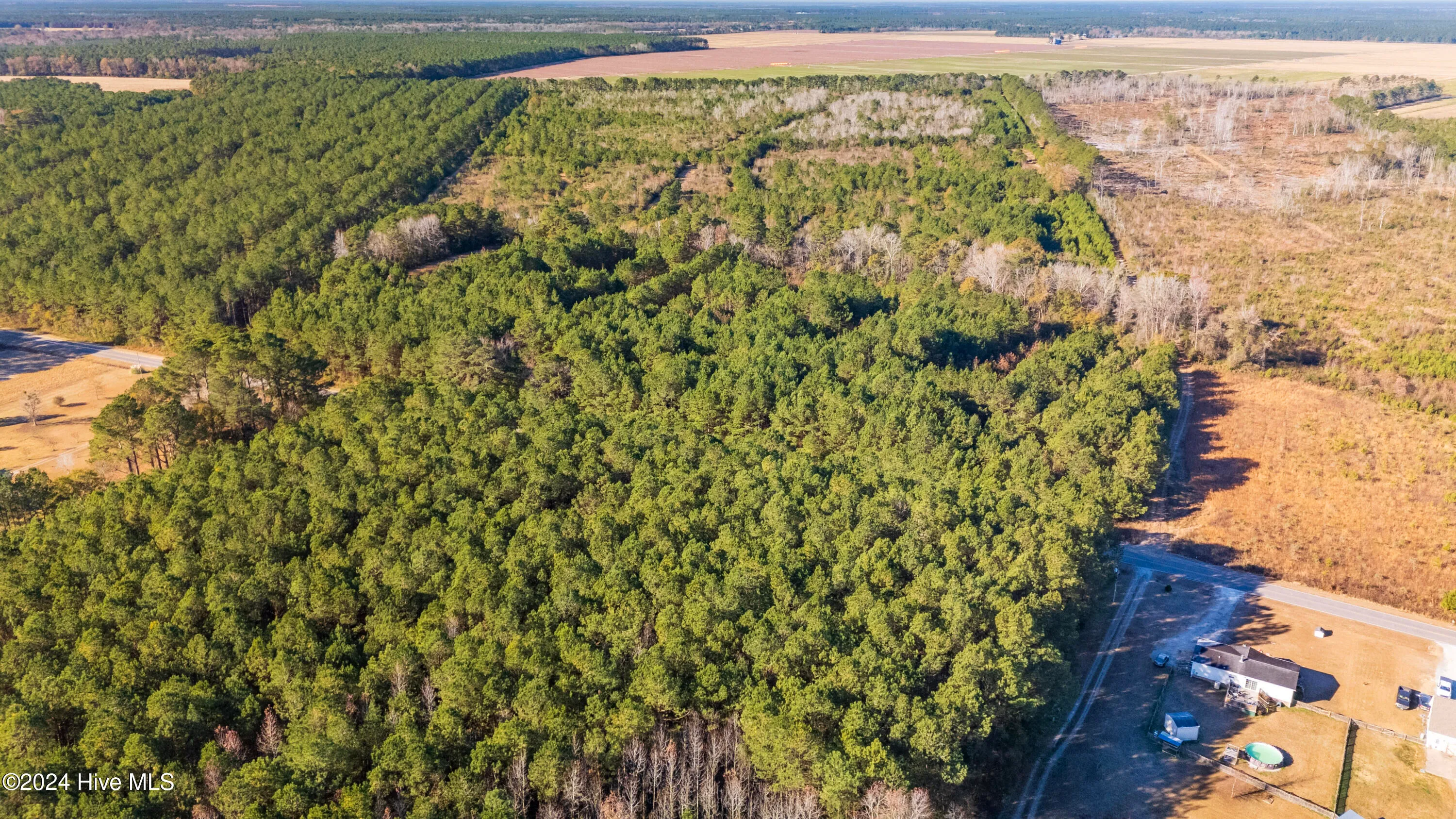 Willard, North Carolina 28478, United States, ,Land,Pending,27549