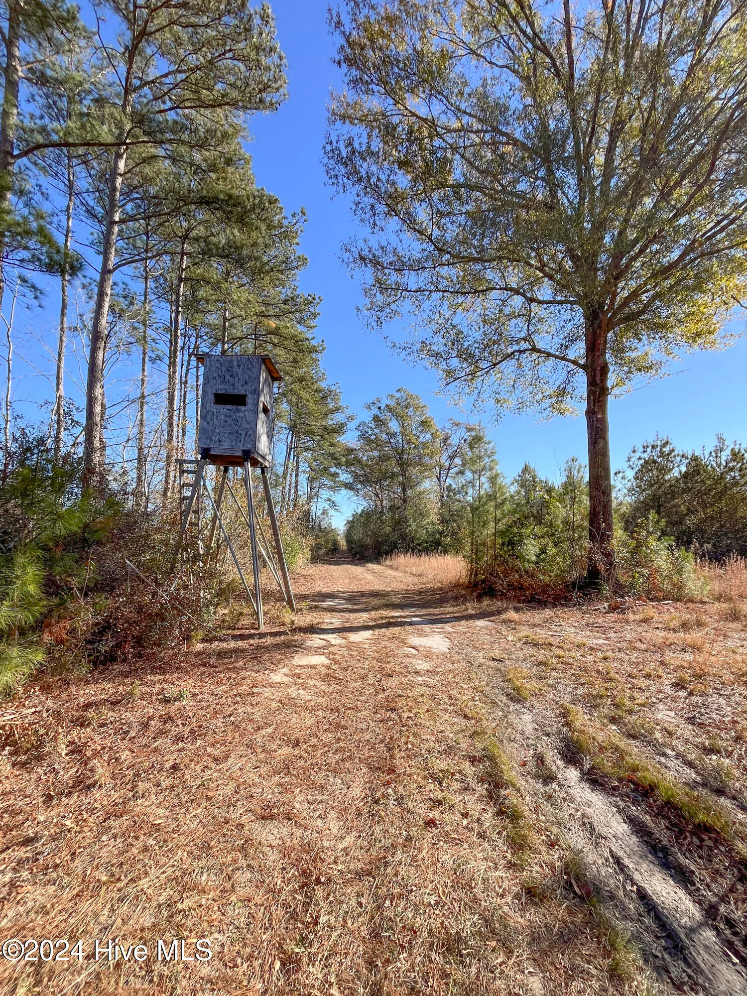 Willard, North Carolina 28478, United States, ,Land,Pending,27549