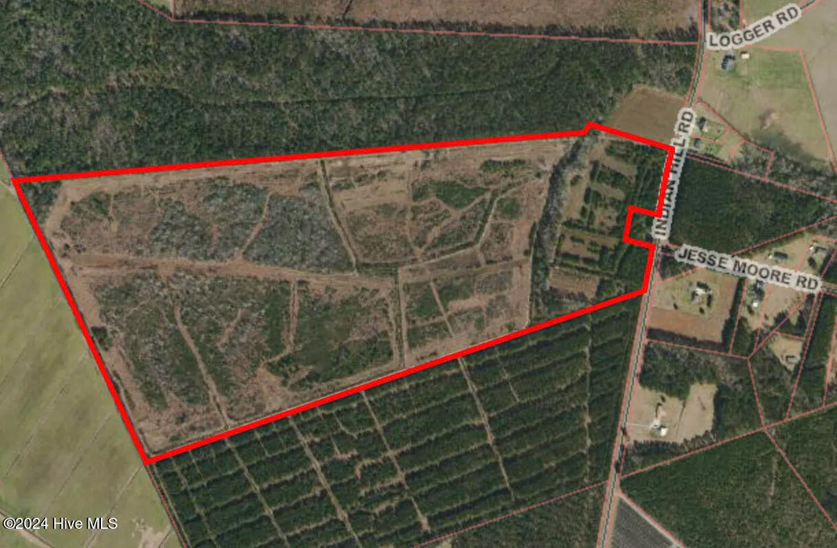 Willard, North Carolina 28478, United States, ,Land,Pending,27549 Willard, North Carolina 28478, United States, ,Land,Pending,27549