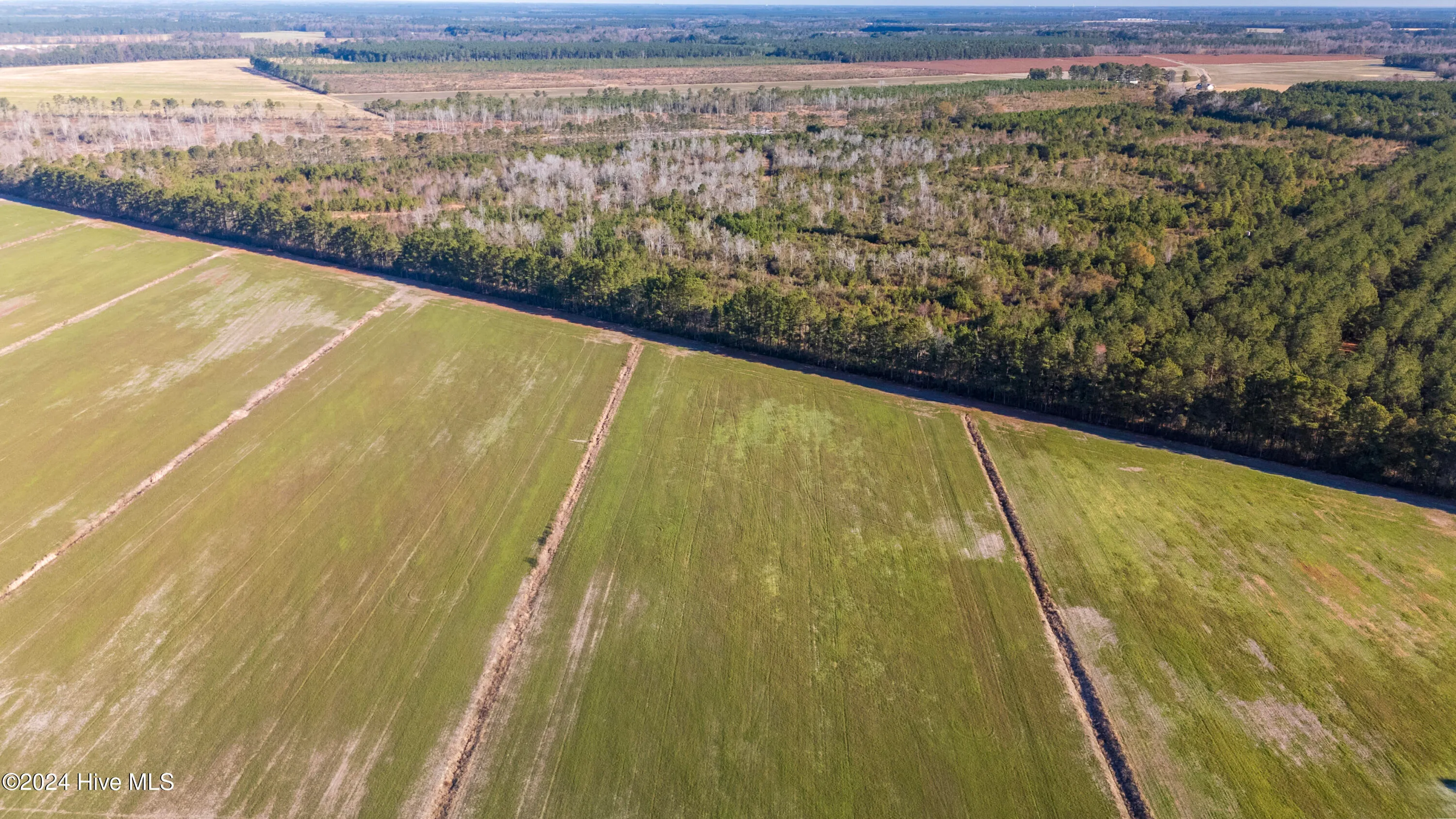 Willard, North Carolina 28478, United States, ,Land,Pending,27549