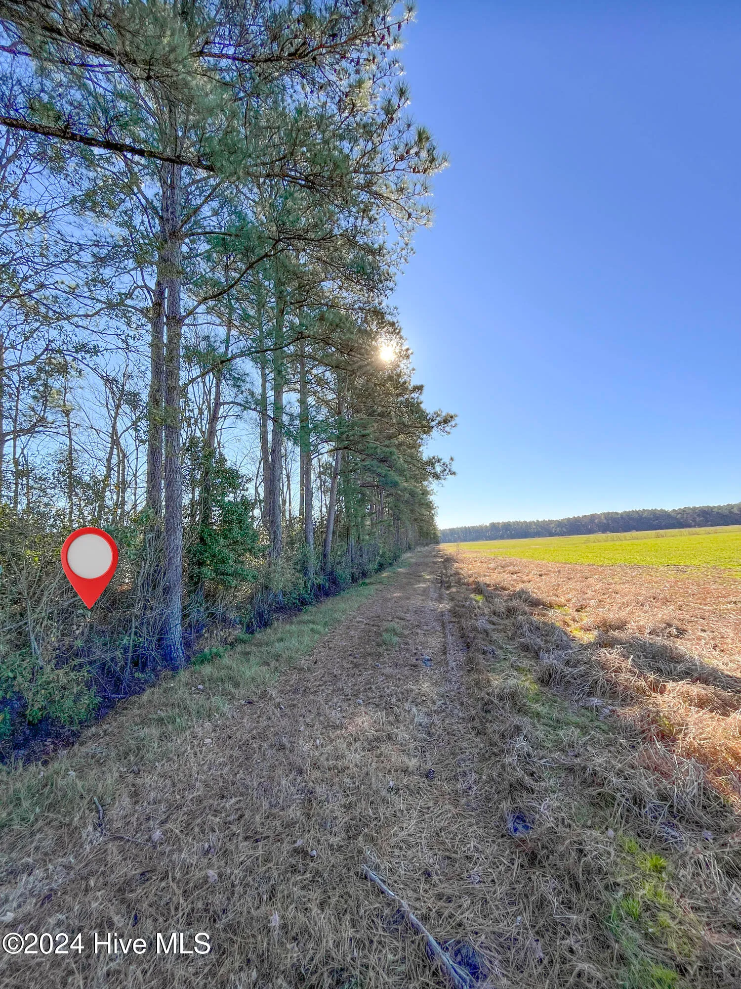 Willard, North Carolina 28478, United States, ,Land,Pending,27549