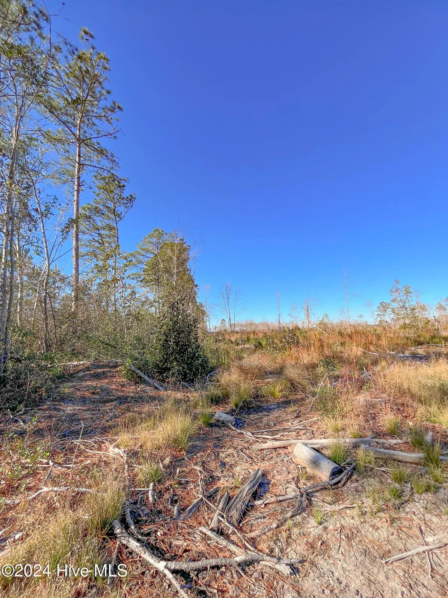 Willard, North Carolina 28478, United States, ,Land,Pending,27549