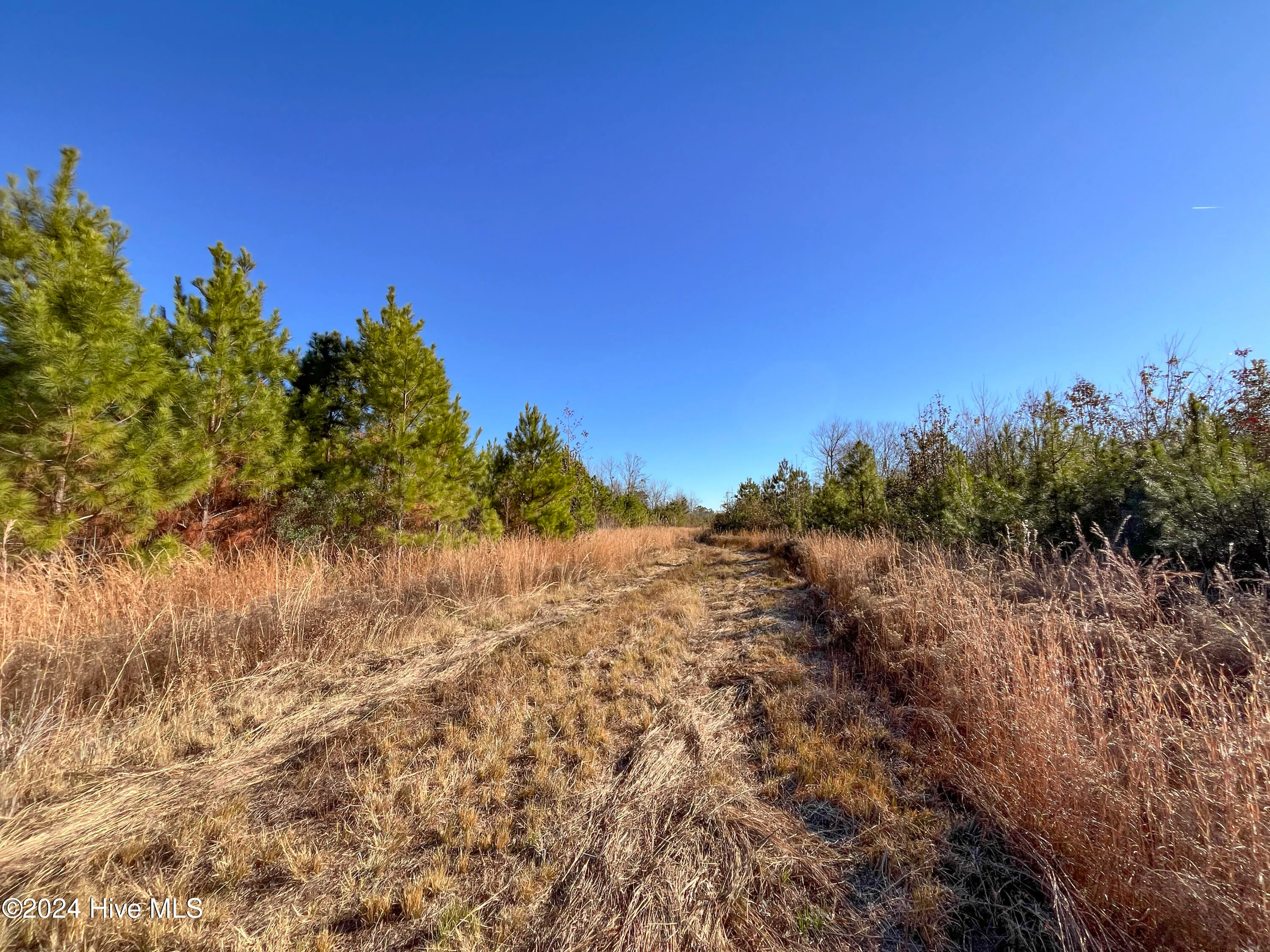 Willard, North Carolina 28478, United States, ,Land,Pending,27549