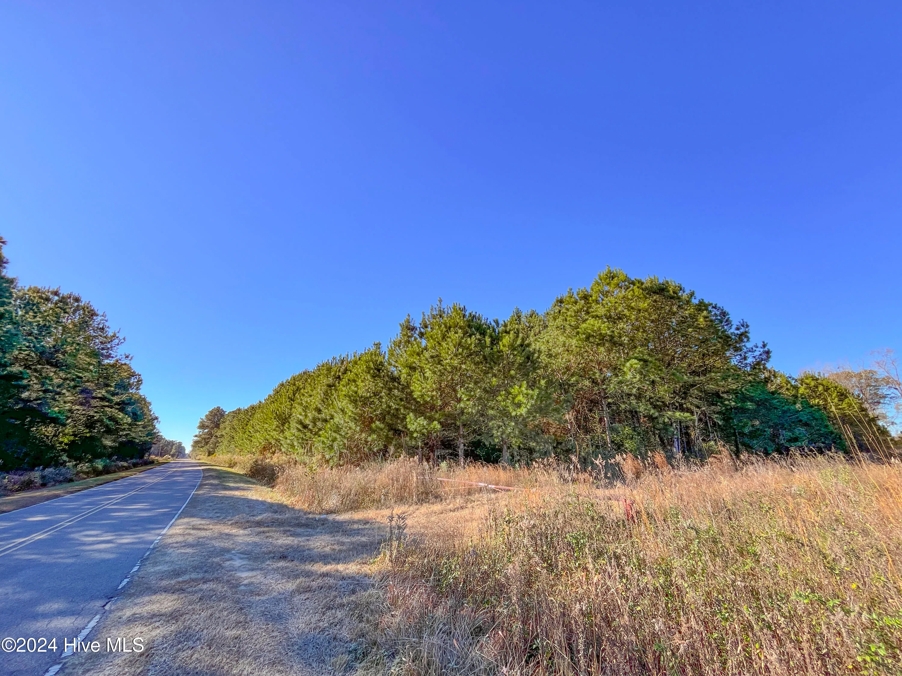 Willard, North Carolina 28478, United States, ,Land,Pending,27549