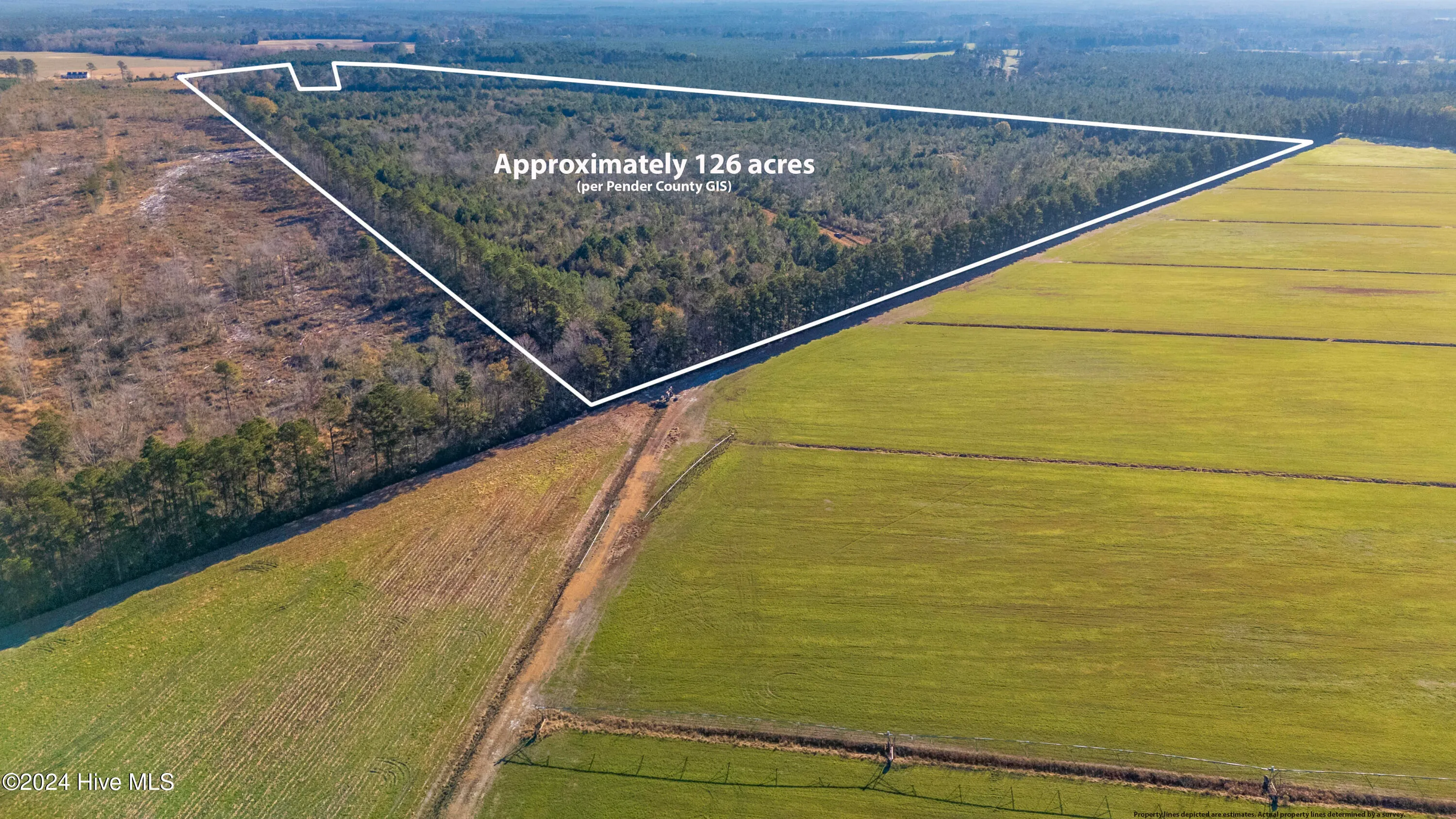 Willard, North Carolina 28478, United States, ,Land,Pending,27549