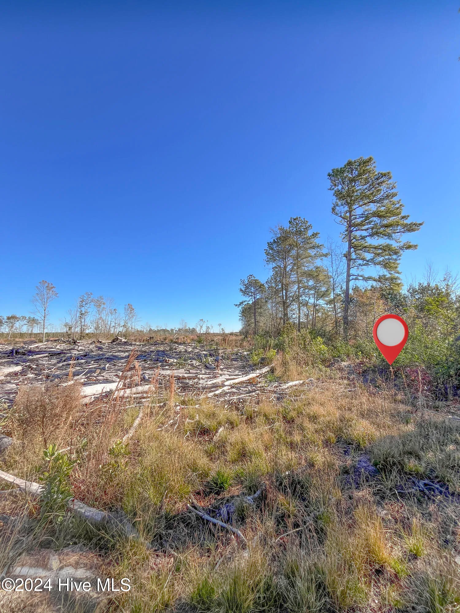 Willard, North Carolina 28478, United States, ,Land,Pending,27549
