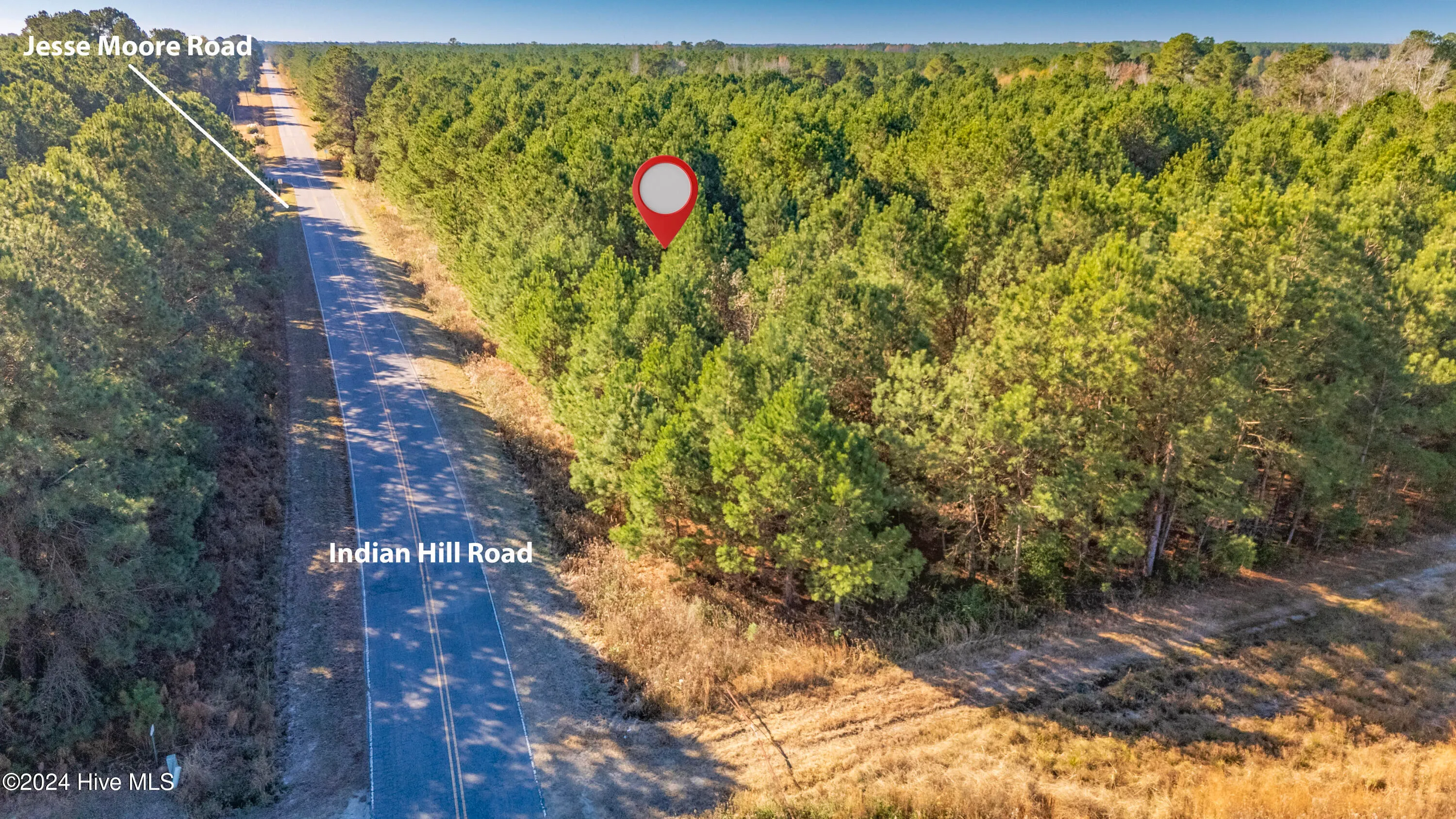 Willard, North Carolina 28478, United States, ,Land,Pending,27549