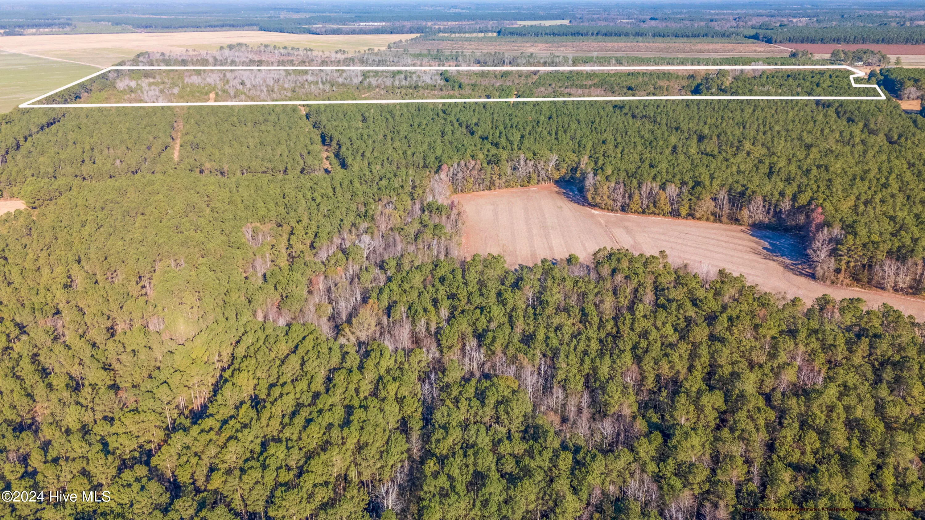 Willard, North Carolina 28478, United States, ,Land,Pending,27549