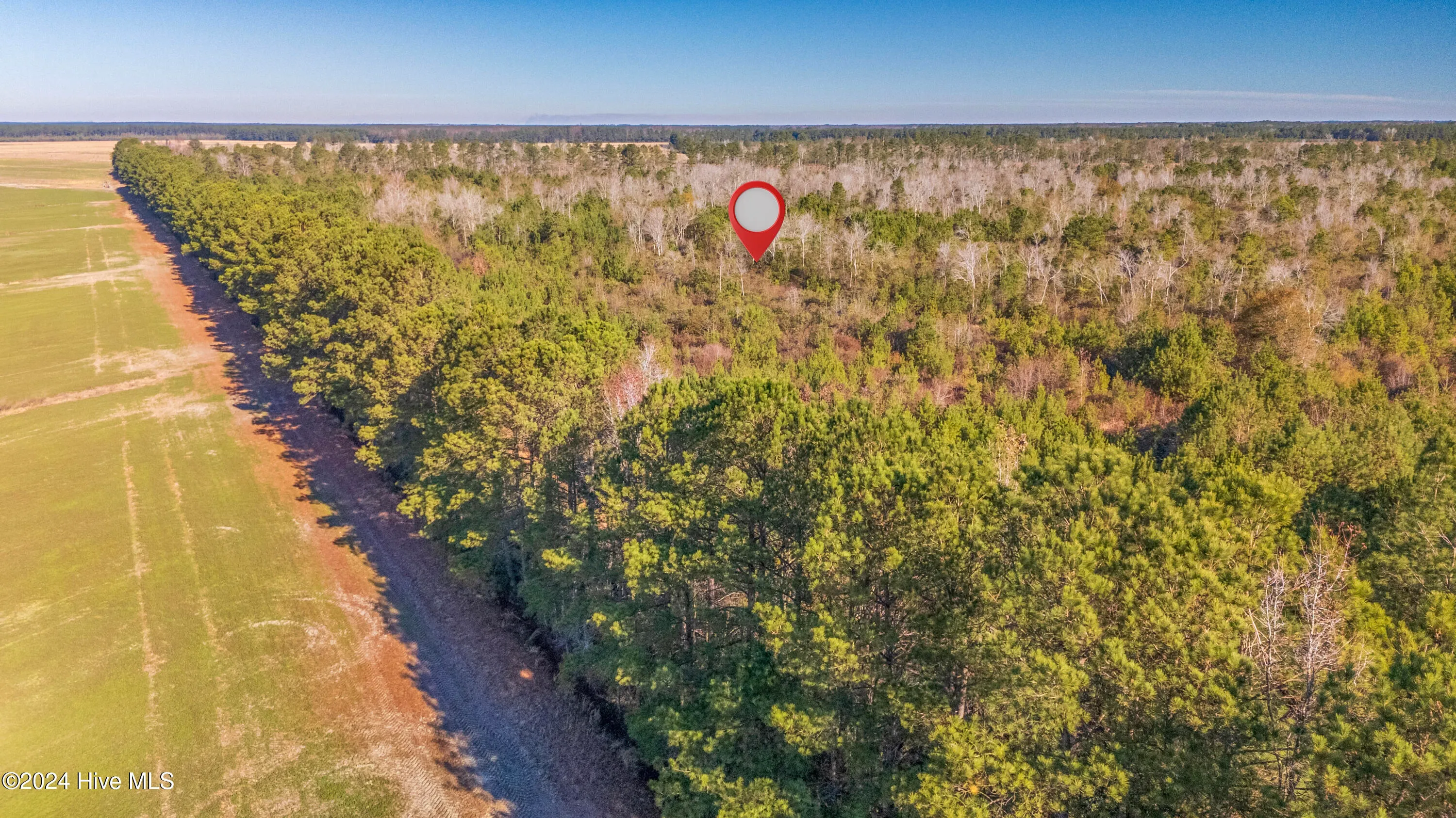 Willard, North Carolina 28478, United States, ,Land,Pending,27549