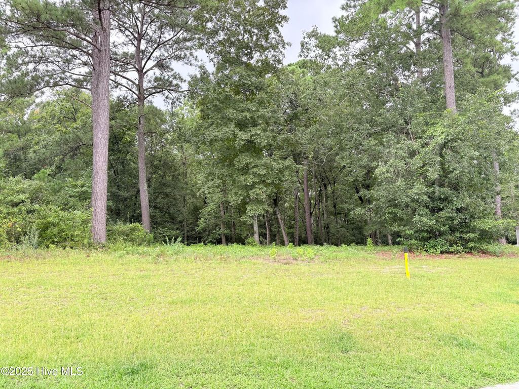 Photo of 9273 Buccaneer Court NE, Leland, NC 28451 (MLS # 100525696)