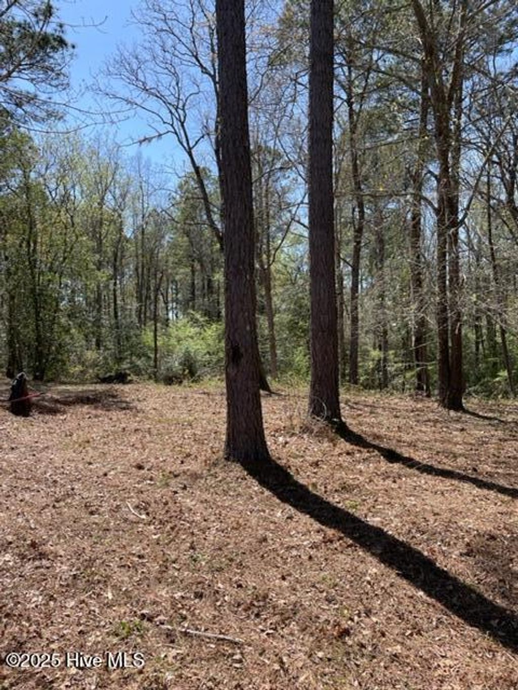 Photo of 9273 Buccaneer Court NE, Leland, NC 28451 (MLS # 100525696)