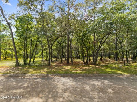 Photo of 678 Loreauville Drive SW, Supply, NC 28462 (MLS # 100536644)