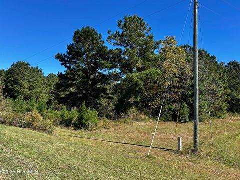 Tiny photo for 11 Upland Road, Willard, NC 28478 (MLS # 100530245)