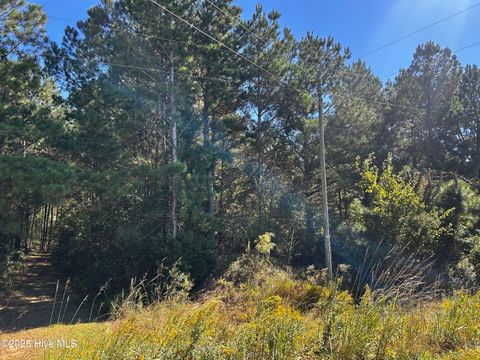 Tiny photo for 11 Upland Road, Willard, NC 28478 (MLS # 100530245)