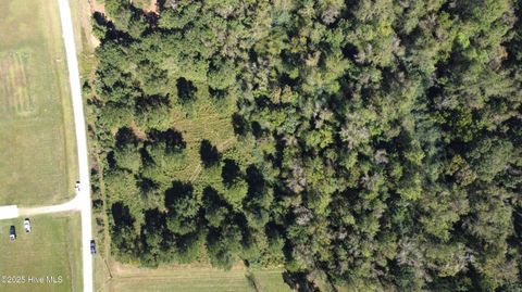 Tiny photo for 11 Upland Road, Willard, NC 28478 (MLS # 100530245)