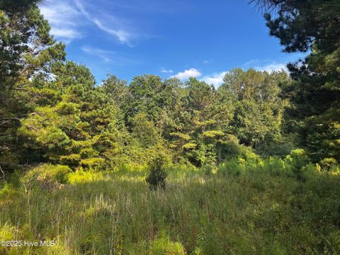 Tiny photo for 11 Upland Road, Willard, NC 28478 (MLS # 100530245)