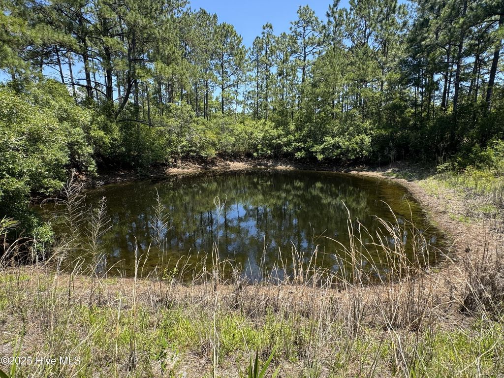 Photo of 13881394 Bluebird Trail SW, Shallotte, NC 28470 (MLS # 100514279)