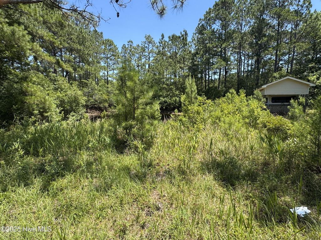 Photo of 13881394 Bluebird Trail SW, Shallotte, NC 28470 (MLS # 100514279)