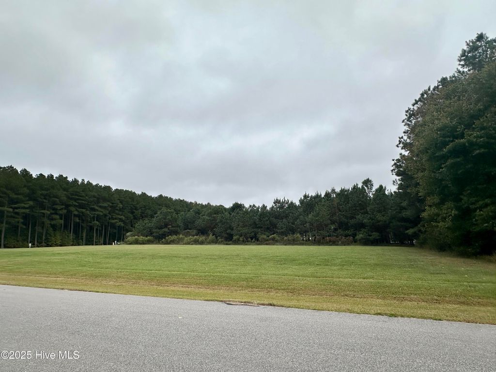 Photo of 329 Riversound Drive, Edenton, NC 27932 (MLS # 100536103)