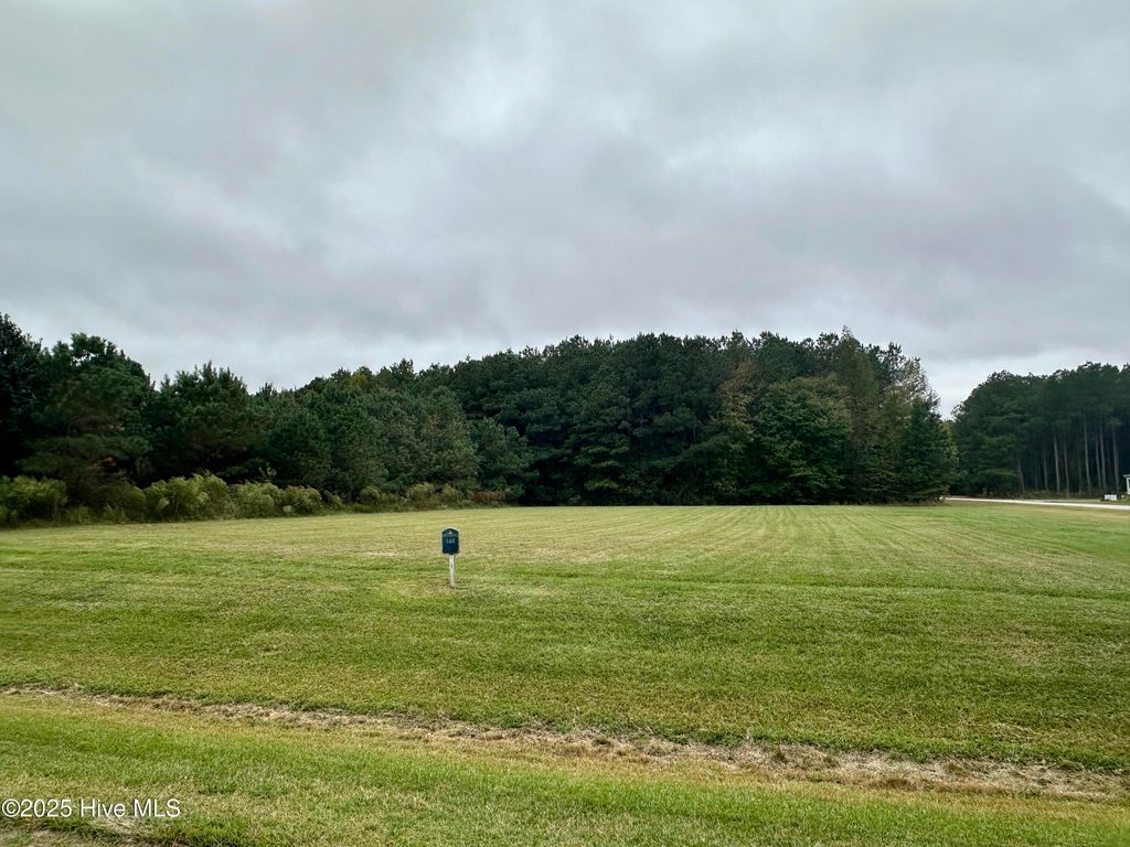 Photo of 329 Riversound Drive, Edenton, NC 27932 (MLS # 100536103)
