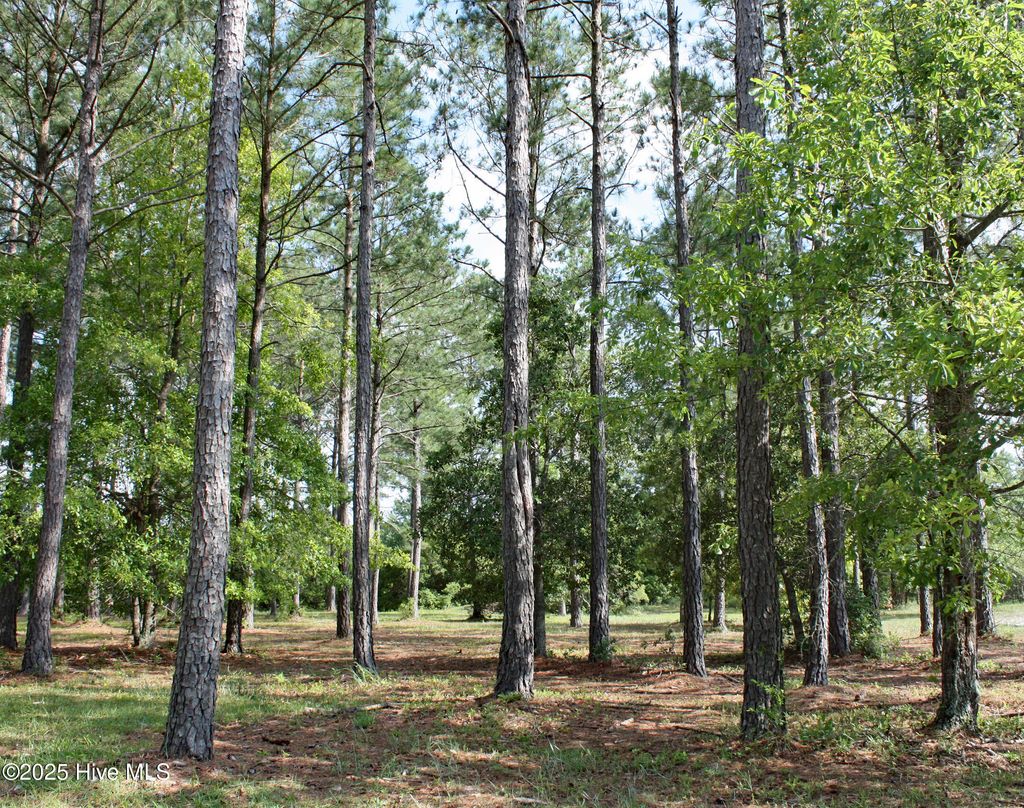 Photo of 6238 Castlebrook Way SW, Ocean Isle Beach, NC 28469 (MLS # 100500867)