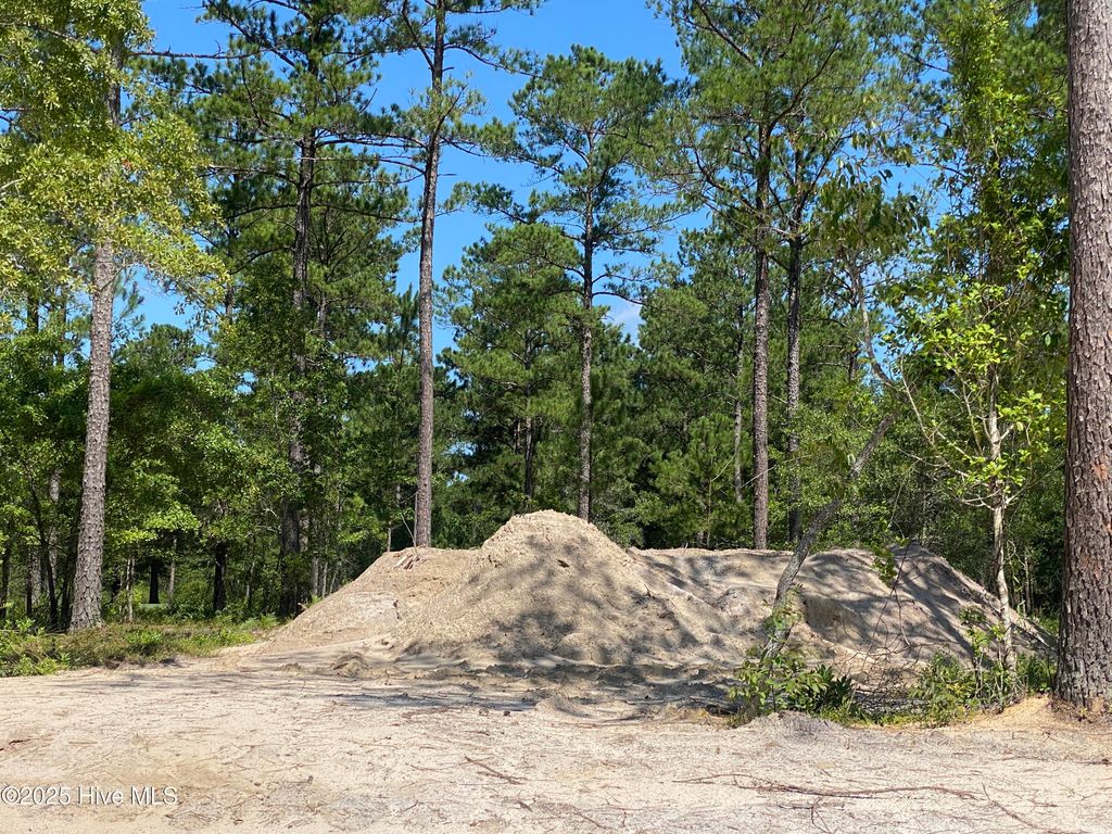 Photo of 8759 Compass Pointe West Wynd NE, Leland, NC 28451 (MLS # 100514368)