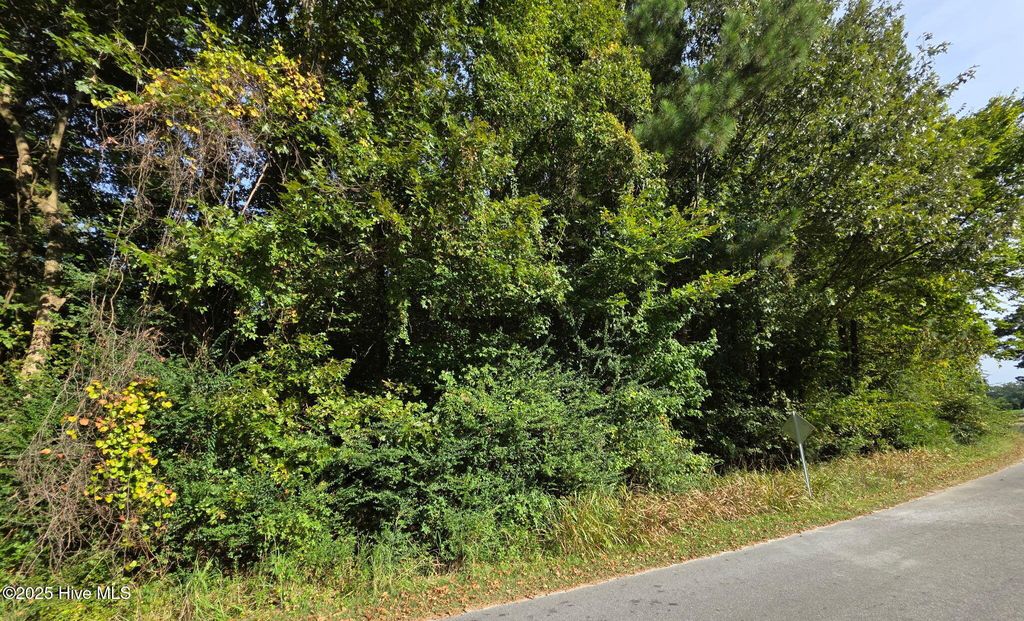 Photo of 0 Brassie Drive, Grifton, NC 28530 (MLS # 100530205)