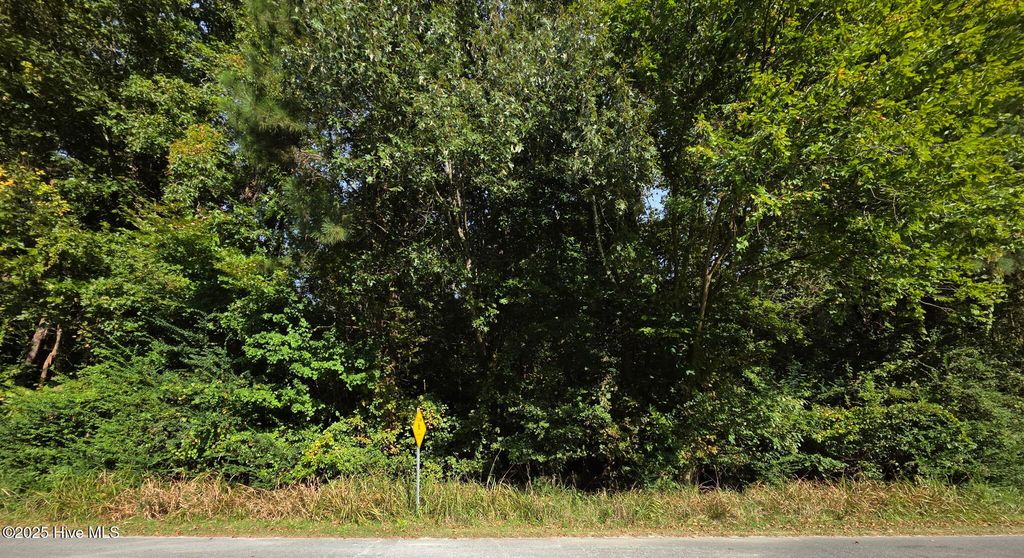 Photo of 0 Brassie Drive, Grifton, NC 28530 (MLS # 100530205)
