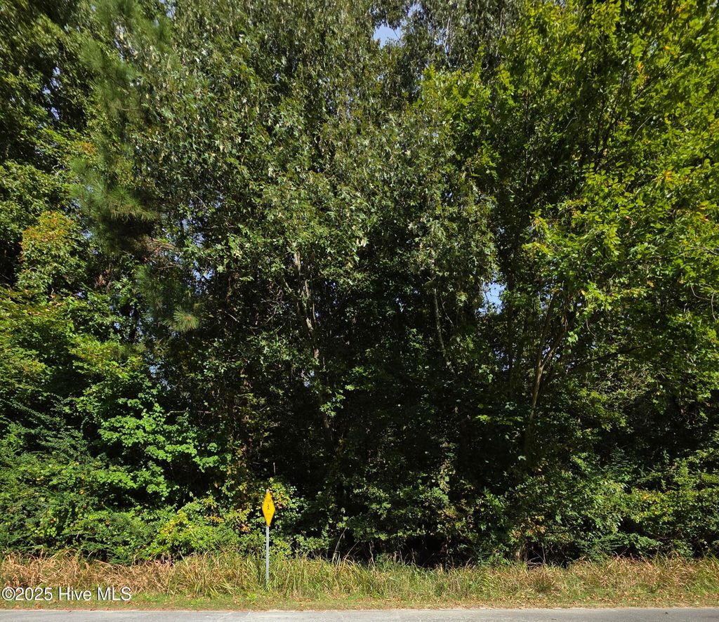 Photo of 0 Brassie Drive, Grifton, NC 28530 (MLS # 100530205)