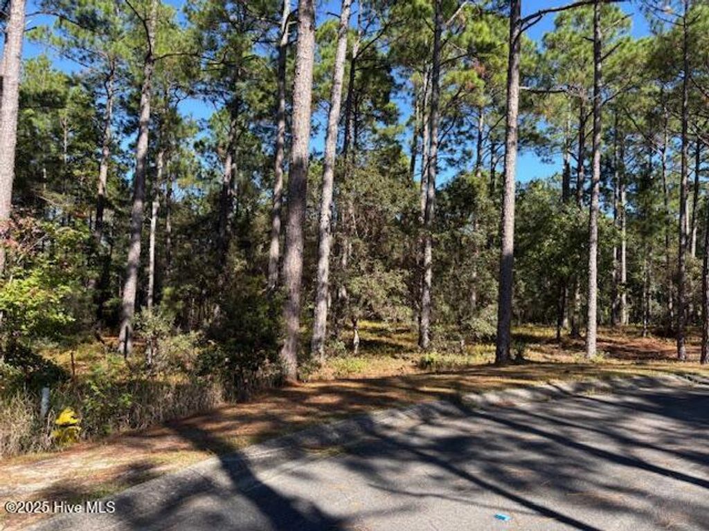 Photo of 542 Verona SE, Bolivia, NC 28422 (MLS # 100537170)