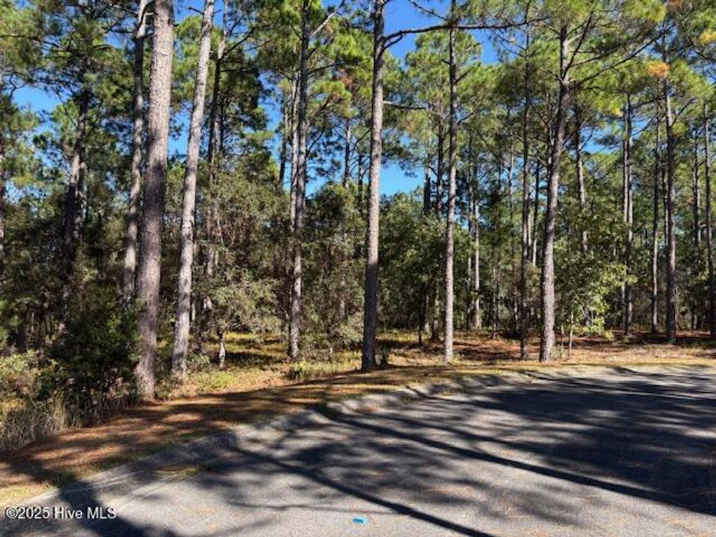Photo of 542 Verona SE, Bolivia, NC 28422 (MLS # 100537170)