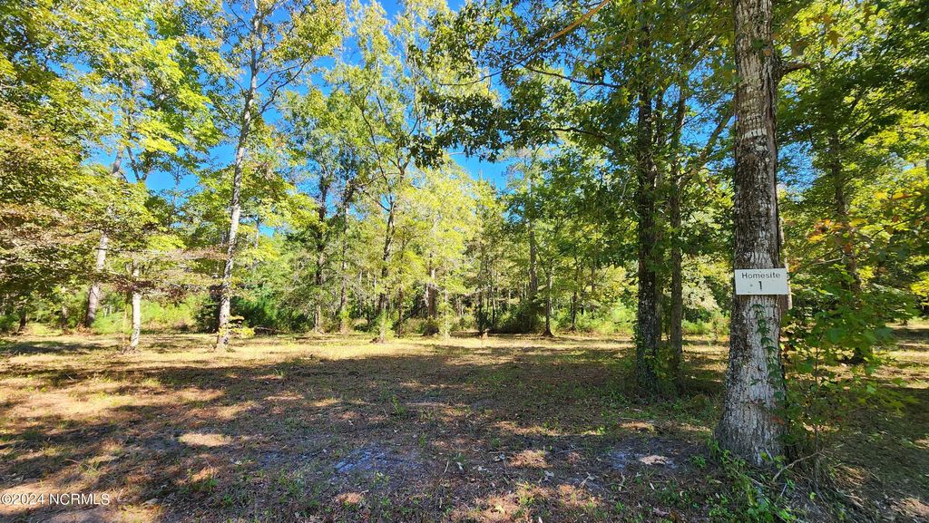 Photo of 112 Sandy Point Drive, Beaufort, NC 28516 (MLS # 100472183)