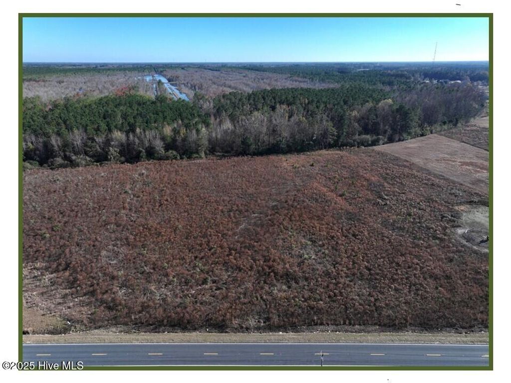 Photo of 2 Wire Grass Road, Orrum, NC 28369 (MLS # 100543243)