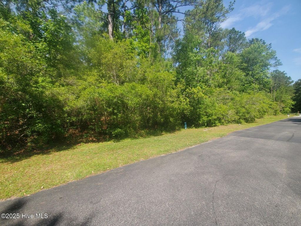 Photo of 0 Jerome Court, Hampstead, NC 28443 (MLS # 100521120)