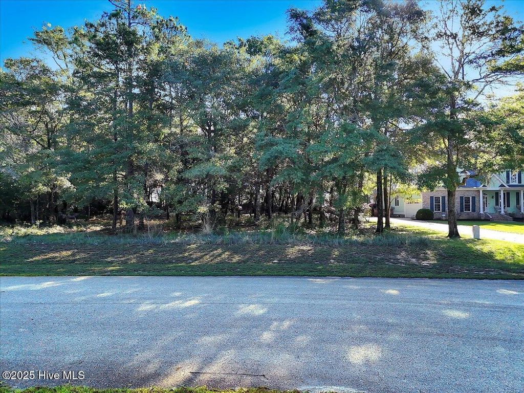 Photo of 3349 Stone Crab Court SW, Supply, NC 28462 (MLS # 100536487)