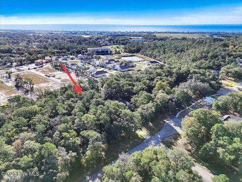 Tiny photo for 3349 Stone Crab Court SW, Supply, NC 28462 (MLS # 100536487)