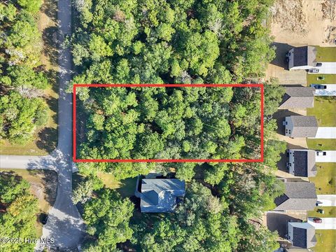 Tiny photo for 3349 Stone Crab Court SW, Supply, NC 28462 (MLS # 100536487)
