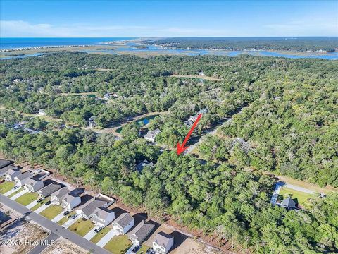 Tiny photo for 3349 Stone Crab Court SW, Supply, NC 28462 (MLS # 100536487)