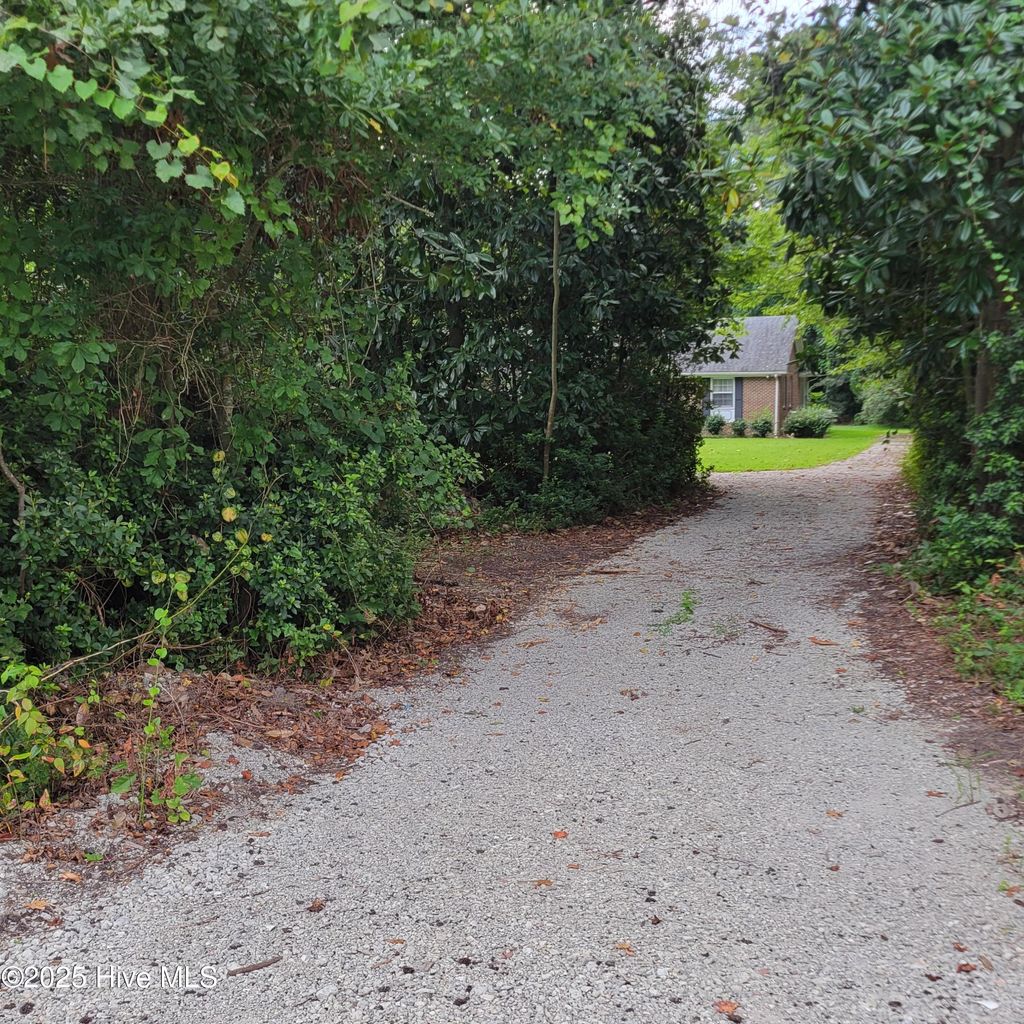 Photo of 200 E Main Street, Atkinson, NC 28421 (MLS # 100530463)