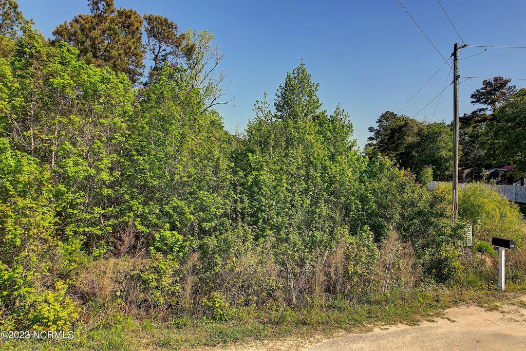 Photo of 1595 Tarpon Street, Shallotte, NC 28470 (MLS # 100475862)