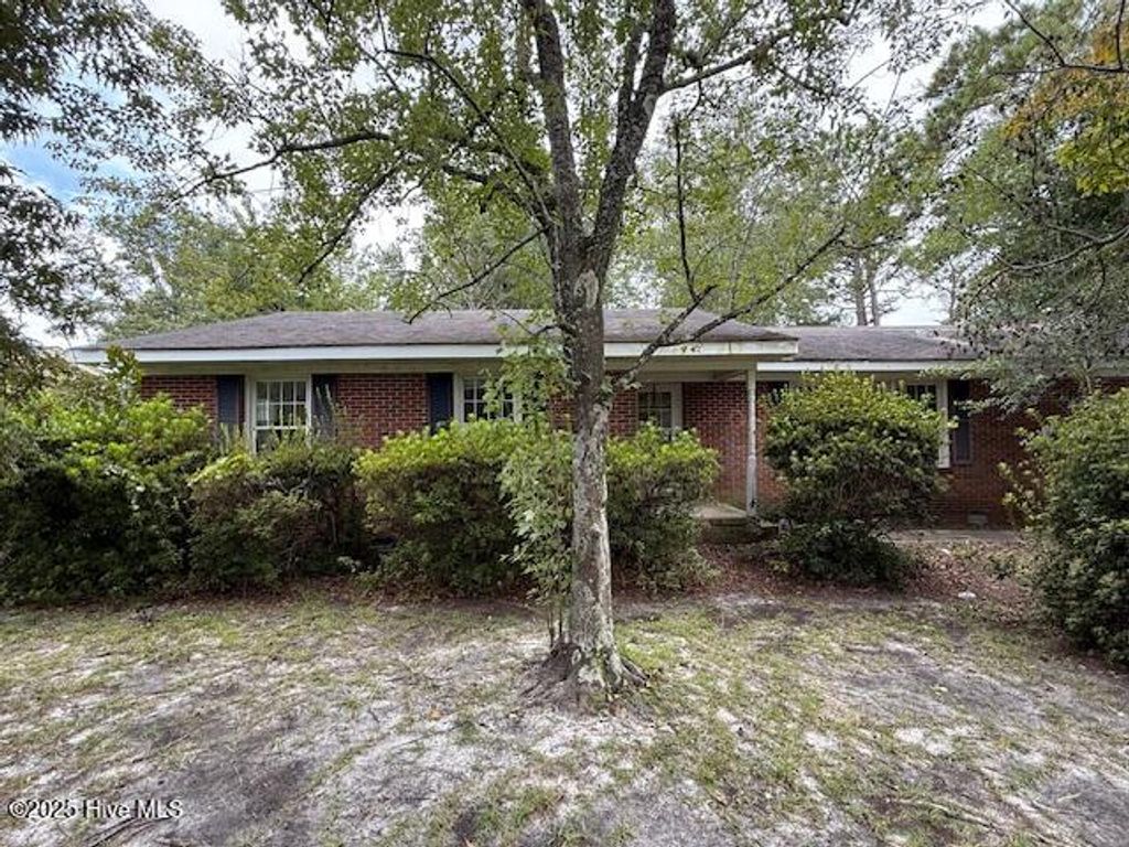 Photo of 313 Mohican Trail, Wilmington, NC 28409 (MLS # 100529854)