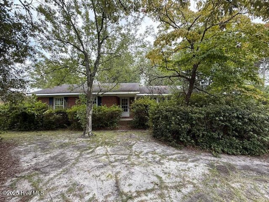 Photo of 313 Mohican Trail, Wilmington, NC 28409 (MLS # 100529854)