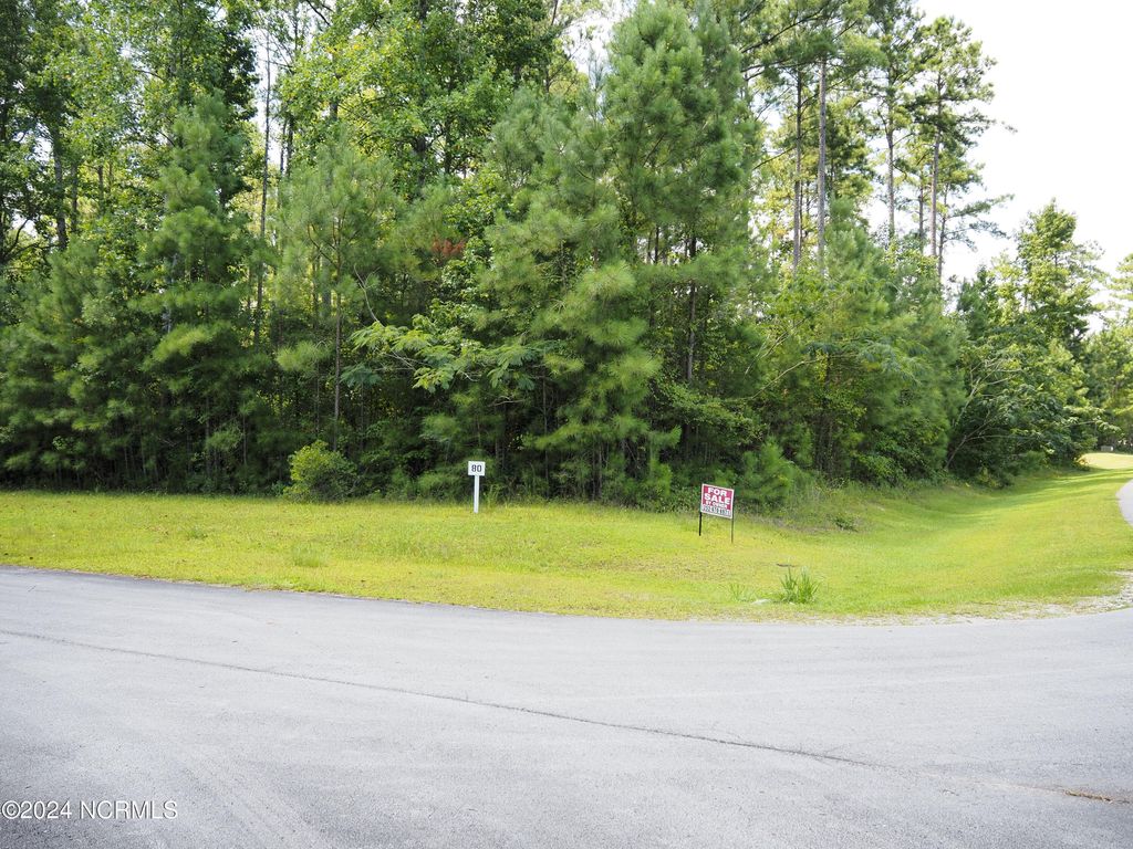 Photo of 100 Palm Circle, Havelock, NC 28532 (MLS # 100456759)