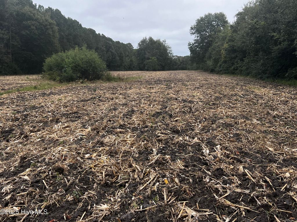 Photo of 450 Swamp Road, Pantego, NC 27860 (MLS # 100540854)