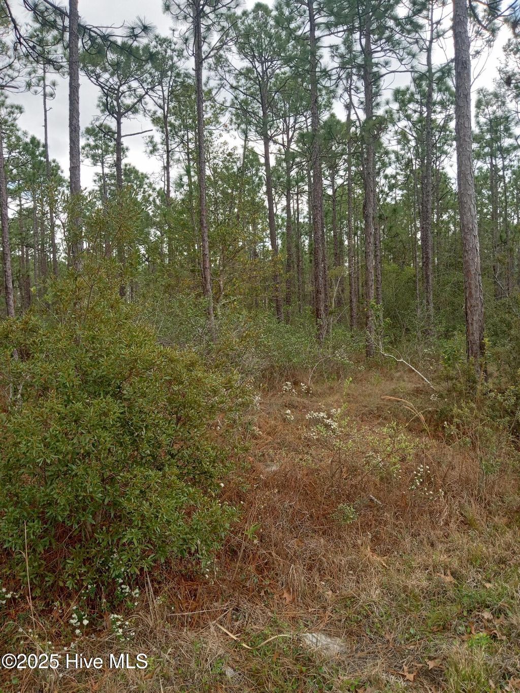 Photo of 61 W South Shore Drive, Southport, NC 28461 (MLS # 100498201)