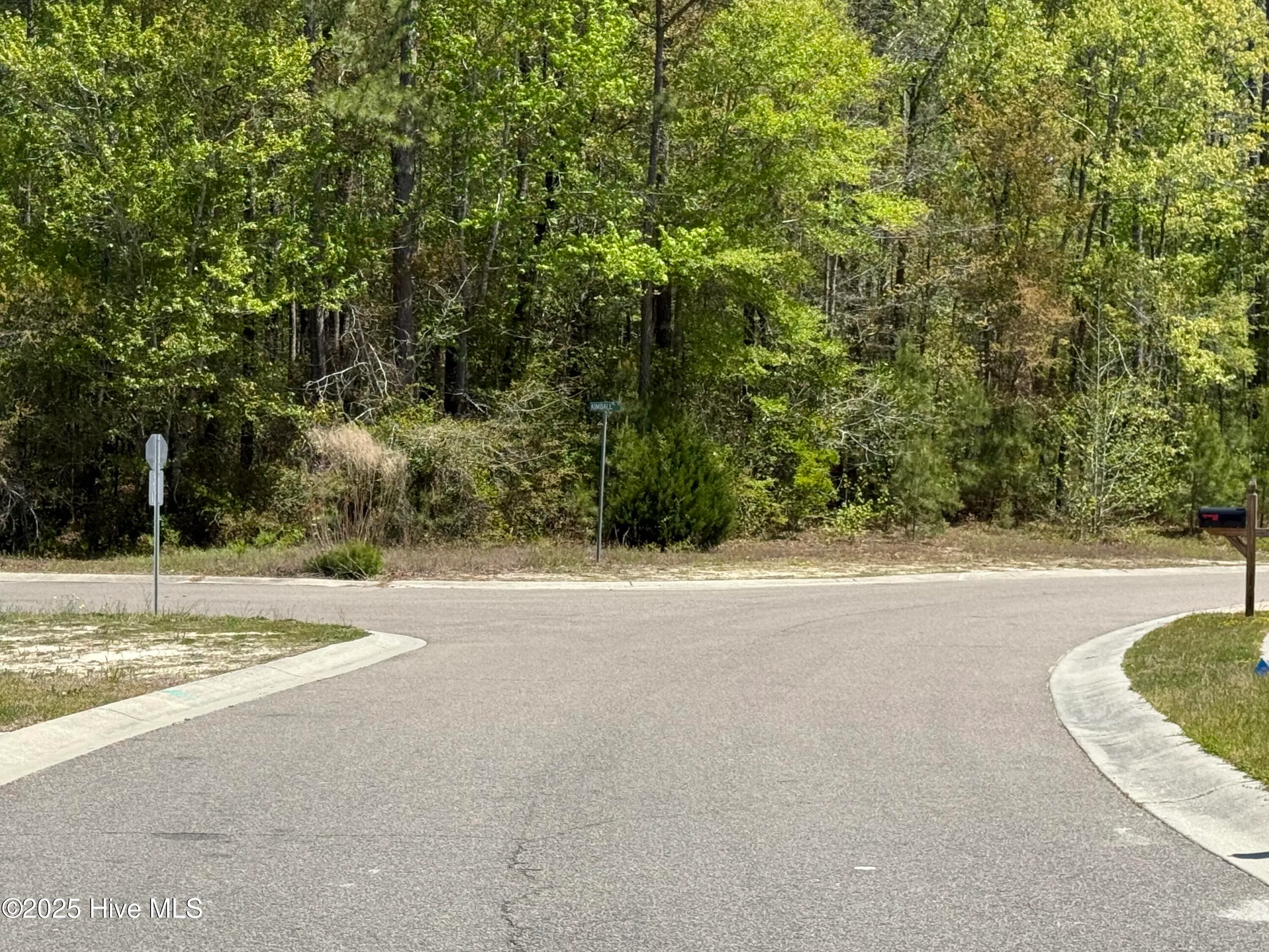 Bolivia, North Carolina 28422, United States, ,Land,Active,108429