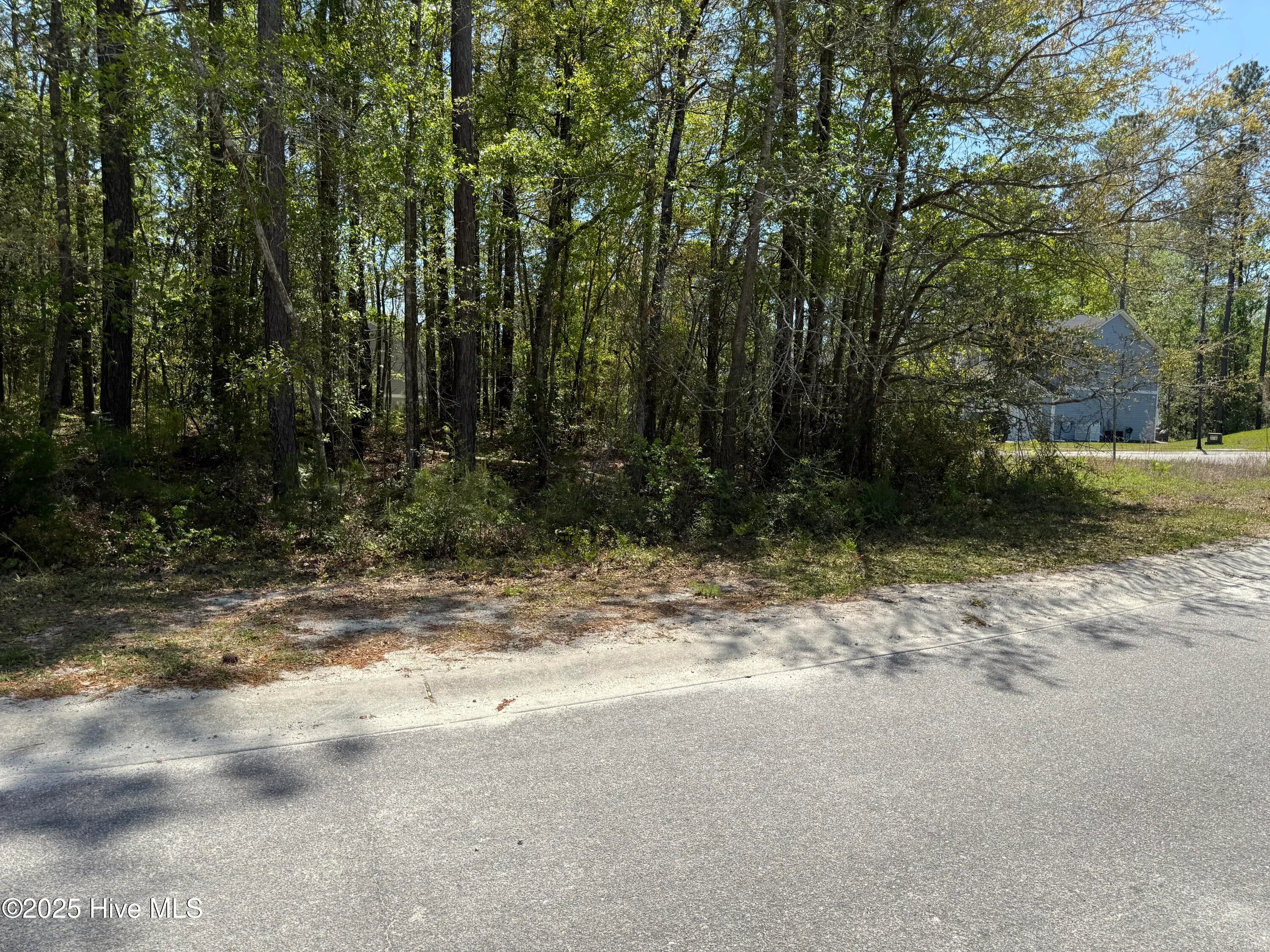 Bolivia, North Carolina 28422, United States, ,Land,Active,108429