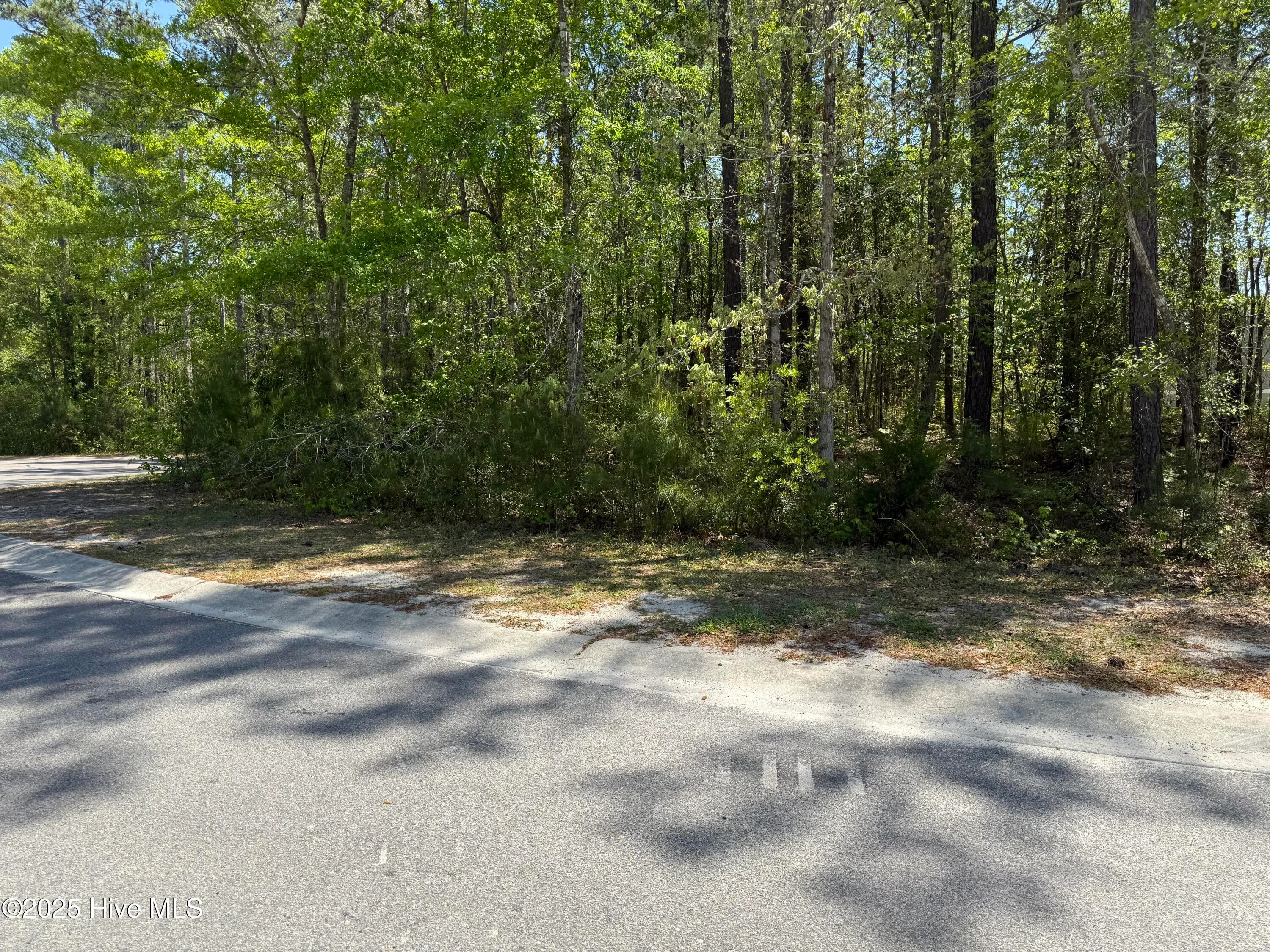 Bolivia, North Carolina 28422, United States, ,Land,Active,108429