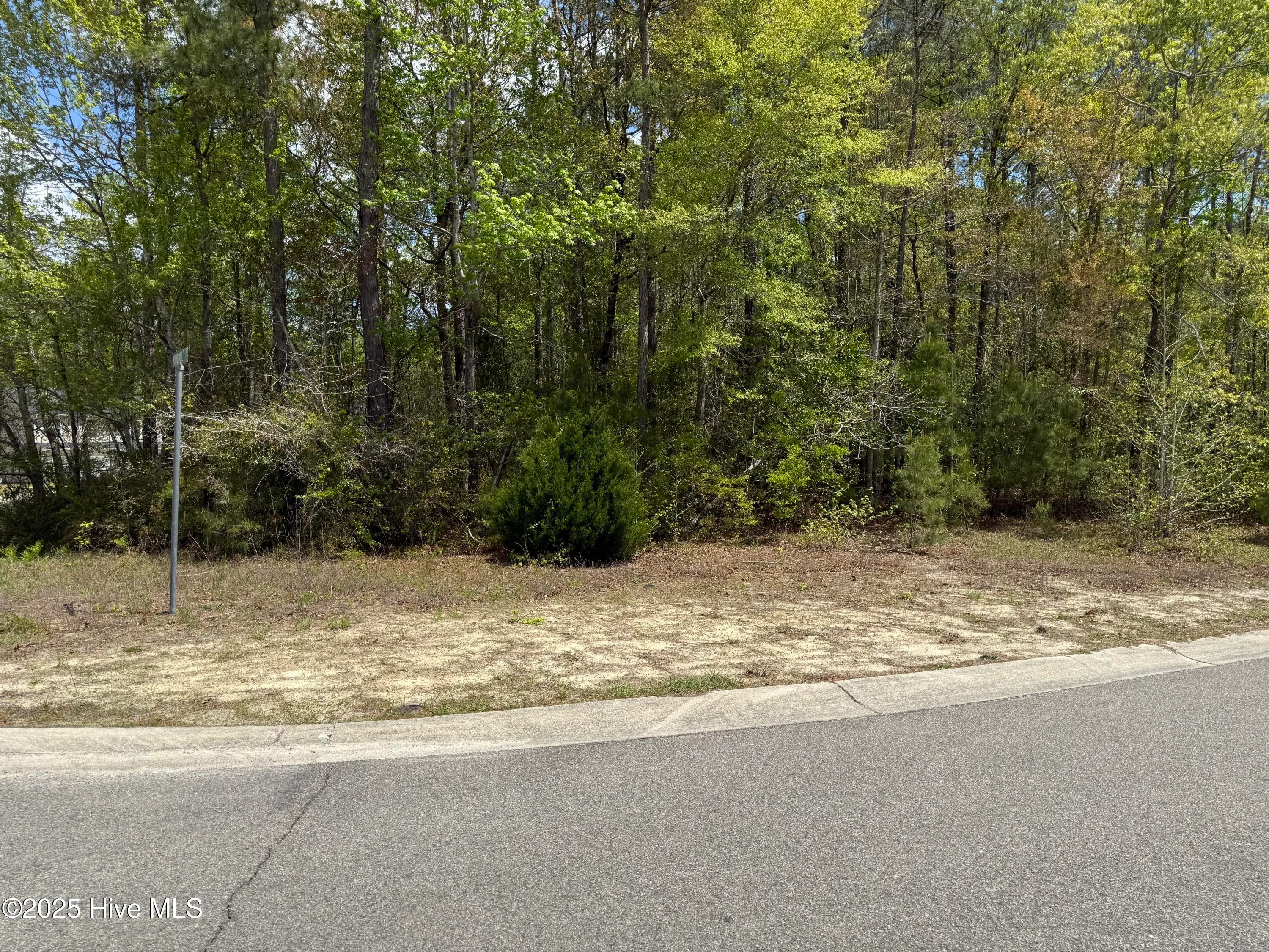 Bolivia, North Carolina 28422, United States, ,Land,Active,108429