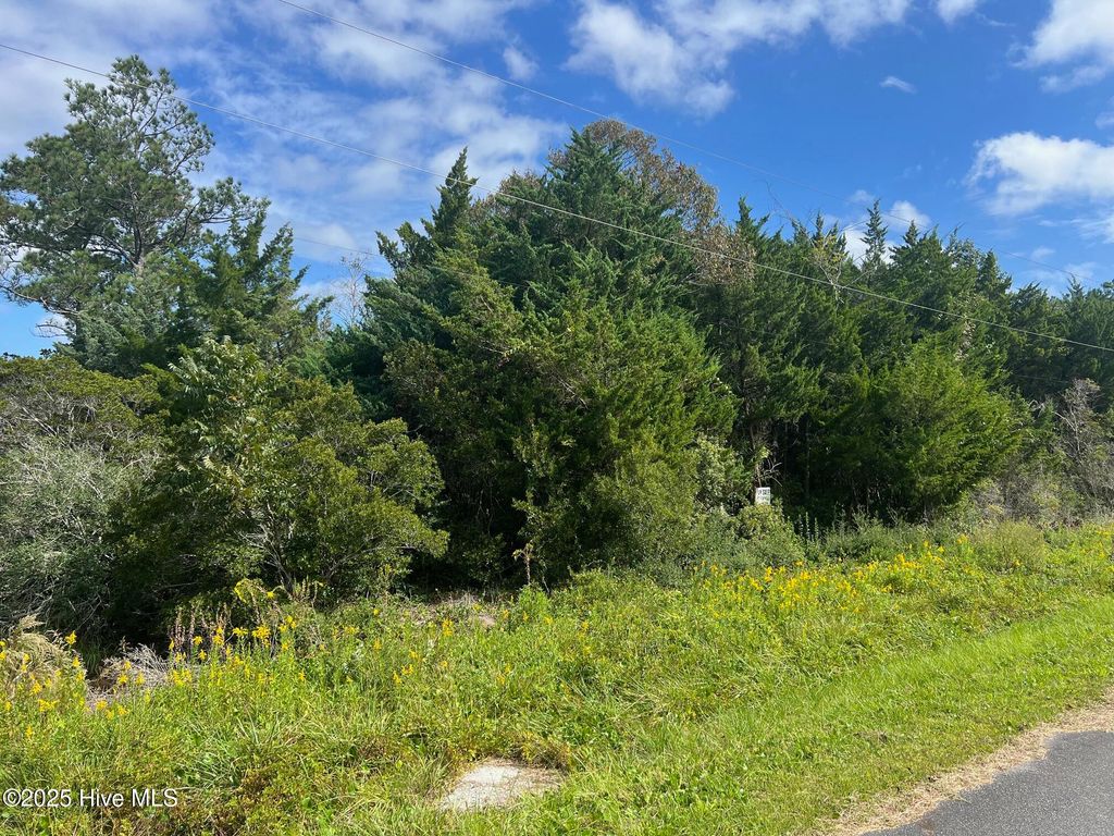 Photo of 157 Sunrise Drive, Beaufort, NC 28516 (MLS # 100538718)